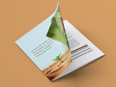 Assessment of Water Sector Brochure 2015 brochure brochure design design layout photography typography undp vector