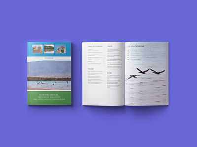 Ecosystem Services Brochure 2015 brochure brochure design brochure layout layout project undp undpproject