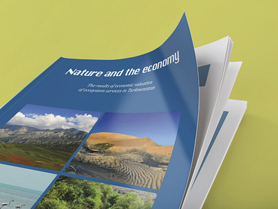 Nature and Economy Brochure 2015 brochure brochure design design layout typography undp undpproject