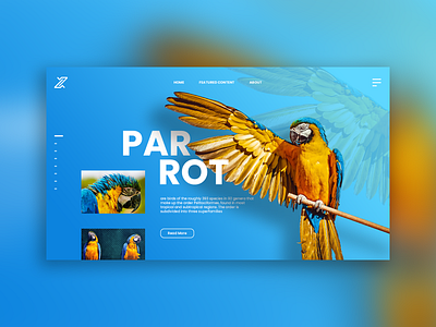 Parrot bird design homepage photoshop ui uidesign web web design webdesign