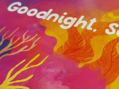 Goodnight, Seahorse board book book children illustration