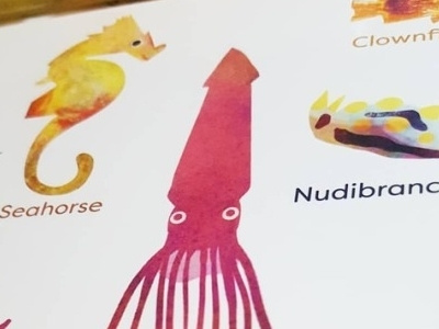 "Goodnight, Seahorse" details animals board book childrens book illustration