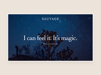 Dior Sauvage Shopping Experience - Landing Page