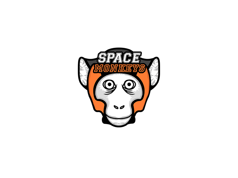 Space Monkeys vector concept animallogo monkey animal clublogo club sportclub sport logo