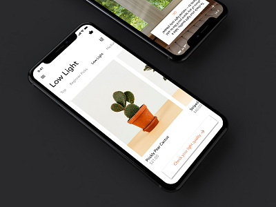 Greenery app branding clean design minimal mobile plant app plant retailer plants ui ux
