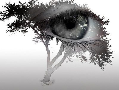 treeEye