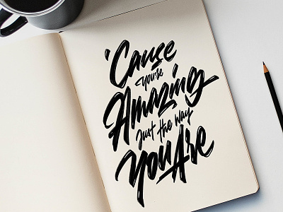 cause you're amazing just the way you are handlettering logotype typography