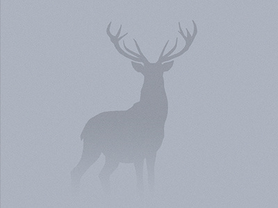 My Deer / Sketch deer fog hand drawn illustration