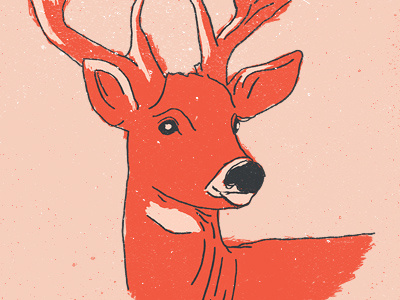 Deer / Process deer hand drawn illustration nice
