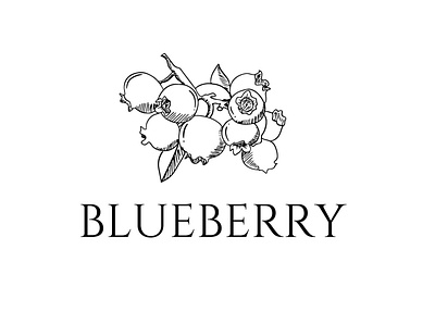 blueberry logo asbtract berry blue blueberry brand branding clean clear commerce company curve food fruit fruits health icon illustration logo monoline vintage logo