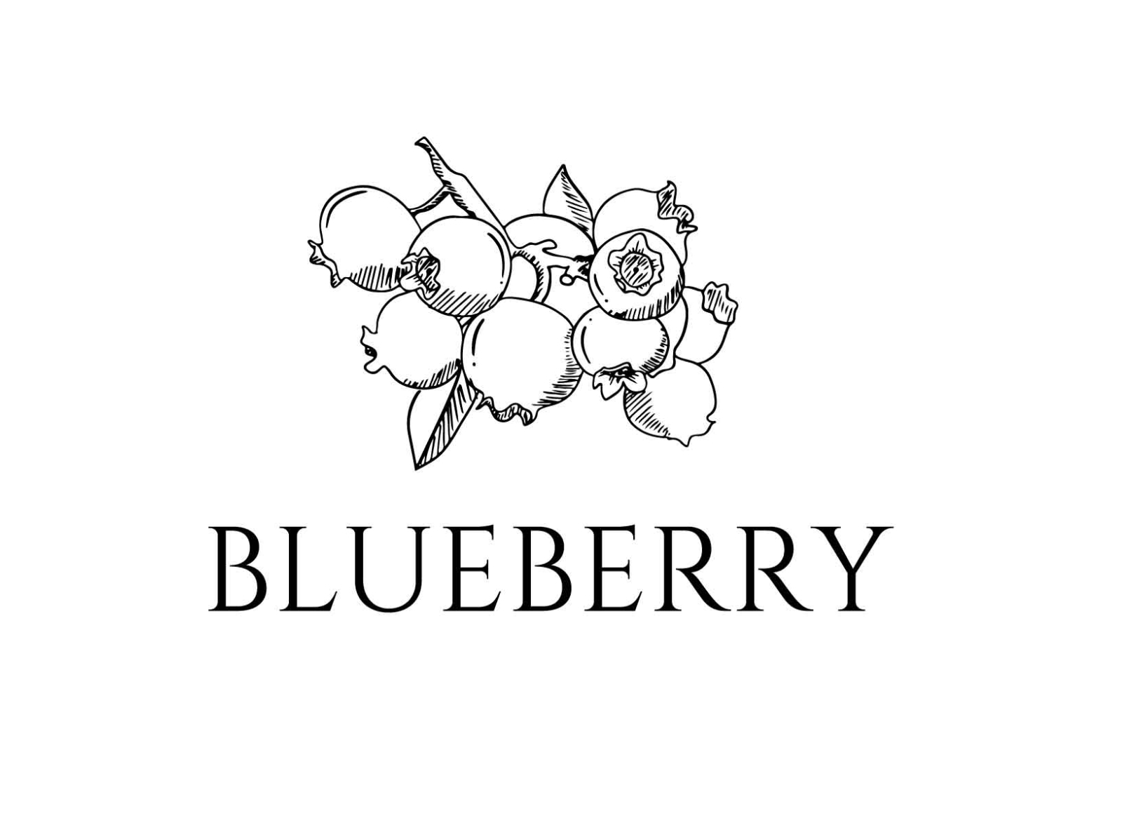 blueberry logo by Arnadi on Dribbble