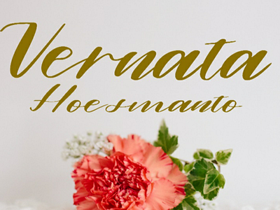 Alamanda font caligraphy dafont fancy font font design grafiti handwriting invitation myfonts signature wedding