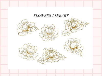 flowers line art flowers illustration lineart