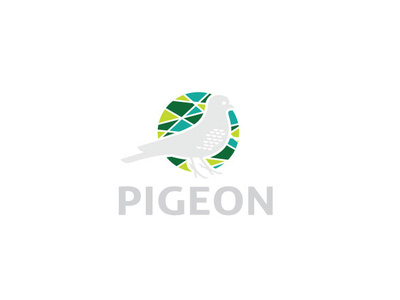 pigeon