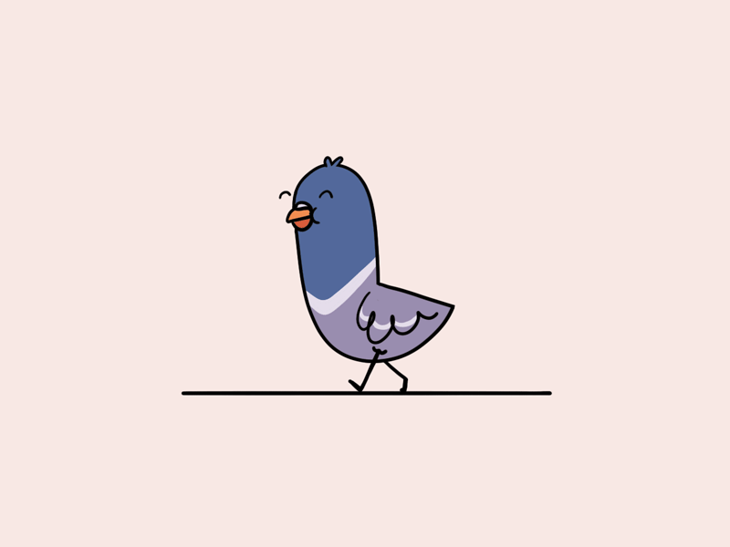 Pigeon | Weekly Warm-up 2danimation animated gif bird dribbble dribbbleweeklywarmup pigeon walkcycle weeklywarmup