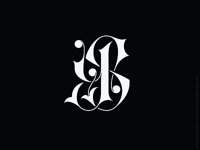 YS Monogram calligraphy calligraphy and lettering artist calligraphy artist calligraphy logo et lettering evgeny tkhorzhevsky font hand lettering logo lettering artist lettering logo logo type