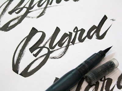 Blgrd calligraphy calligraphy and lettering artist calligraphy artist calligraphy logo et lettering evgeny tkhorzhevsky font hand lettering logo lettering artist lettering logo logo type