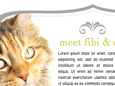 fibi & clo homepage design (4)