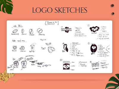 COLLEGE PROJECT : BRAND CREATION | LOGO SKETCHES - OWL BEAN