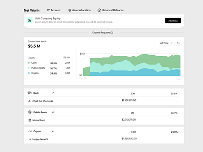 Company Fintech - Net worth Page design