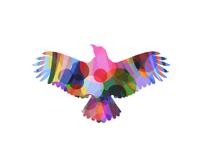 Abstract Bird abstract art bird circle color colour design digital illustration