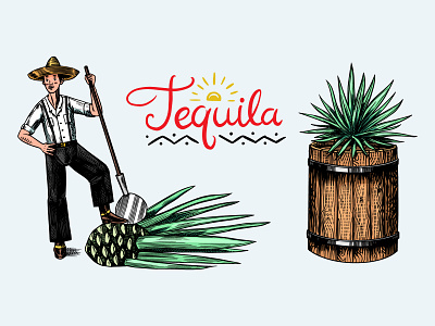 Tequila making agava badge beverage design engraved engraving hand drawn illustration liquor mexican tequila tequila making vintage