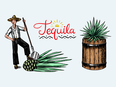 Tequila making