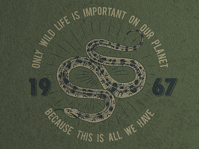 t-shirt print with snake / custom vintage design design hand drawn print snake t shirt vintage viper