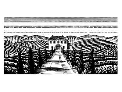 Vineyard landscape illustration for wine label. engraved engraving fields hand drawn illustration ipad italian lanscape line art procreate scratchboard tuscany villa vinery vineyard vintage vintage illustration wine wine label