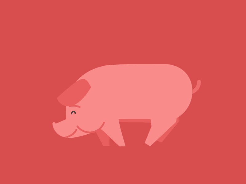 Happy Pig animation flat gif illustration pig