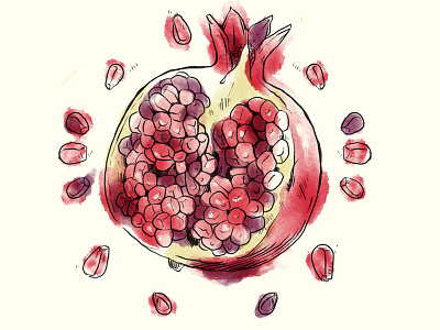 Juicy Pomegranate etching food illustration fruit pips pom pomegranate seeds sketch watercolor