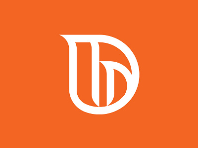 Idd 1920x1200 Logo