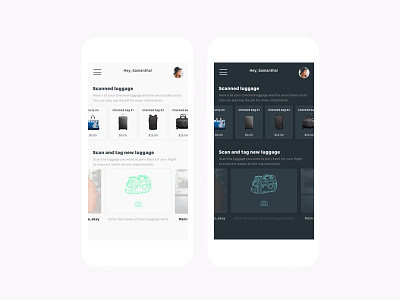 Day and Night baggage check dark mode design night mode product product design software
