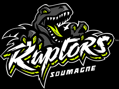 Logo for Raptors design illustration logo