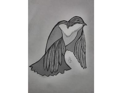 Sketch of bird