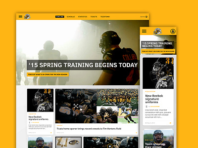 Hamilton Tiger-Cats cfl football news feed responsive design ux design