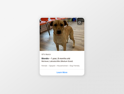 Daily ui 045 - Info card 045 adoptions daily ui doggie style info card saved me