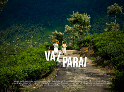 Valparai art artwork design green hills landscape landscape design leaves photographer photography photoshop plantation plants trees workers