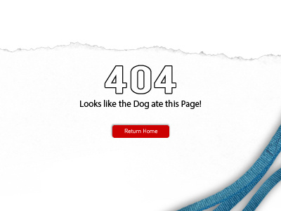 Daily UI: 08 404 Page