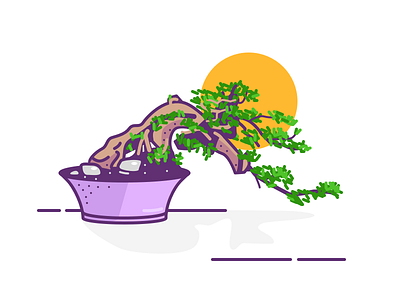 008. Bonsai bonsai garden illustration japanese plant relax sun