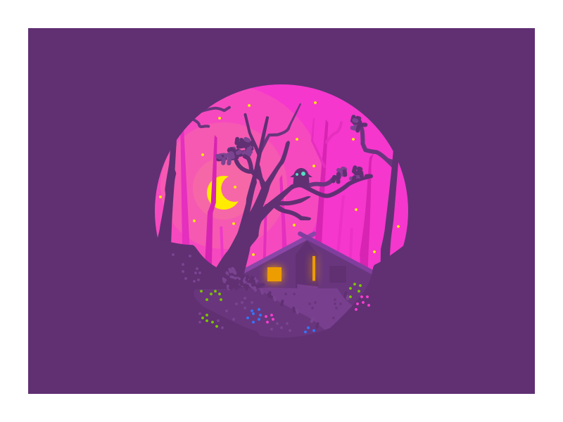 015. Wild Tent alone light adventure fantasy colors flowers night stars moon owl forest tent