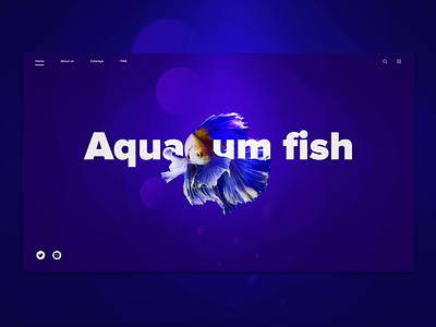 Aquarium fish adobe illustrator artboard dashboard design designer digital dribbble graphic design illustration interface page trands 2018 typography ui design uiux ux design vector web webdesign websites design