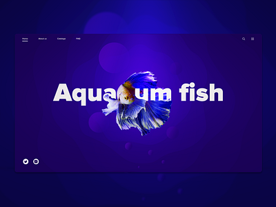 Aquarium fish