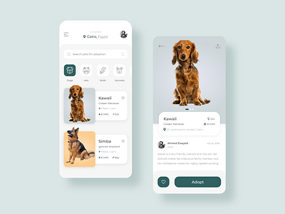 pet adoption app concept