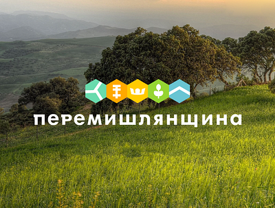 Branding for the community and the city of Peremyshlany brandbook identity branding logo