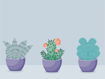 Cute Succulents illustration