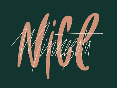 Minnesota Nice handmade type lettering midwest minnesota nice procreate type