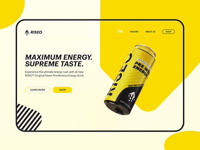 RISEO Web Concept