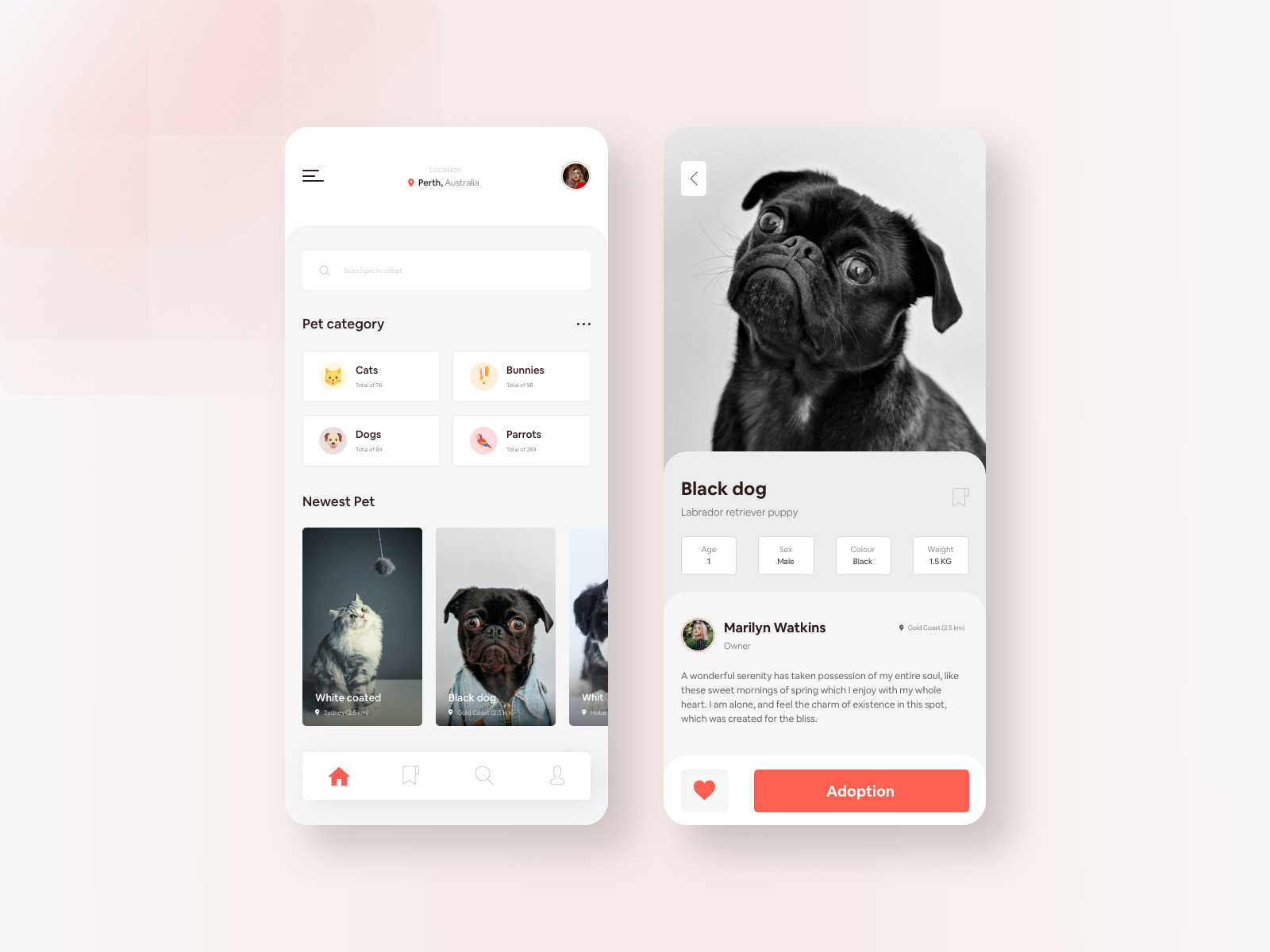 Pets Adoption App UI Design by Istiak Remon 🎭 on Dribbble