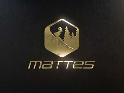 Mattes branding corporate identity graphic design illustrator logos vector art